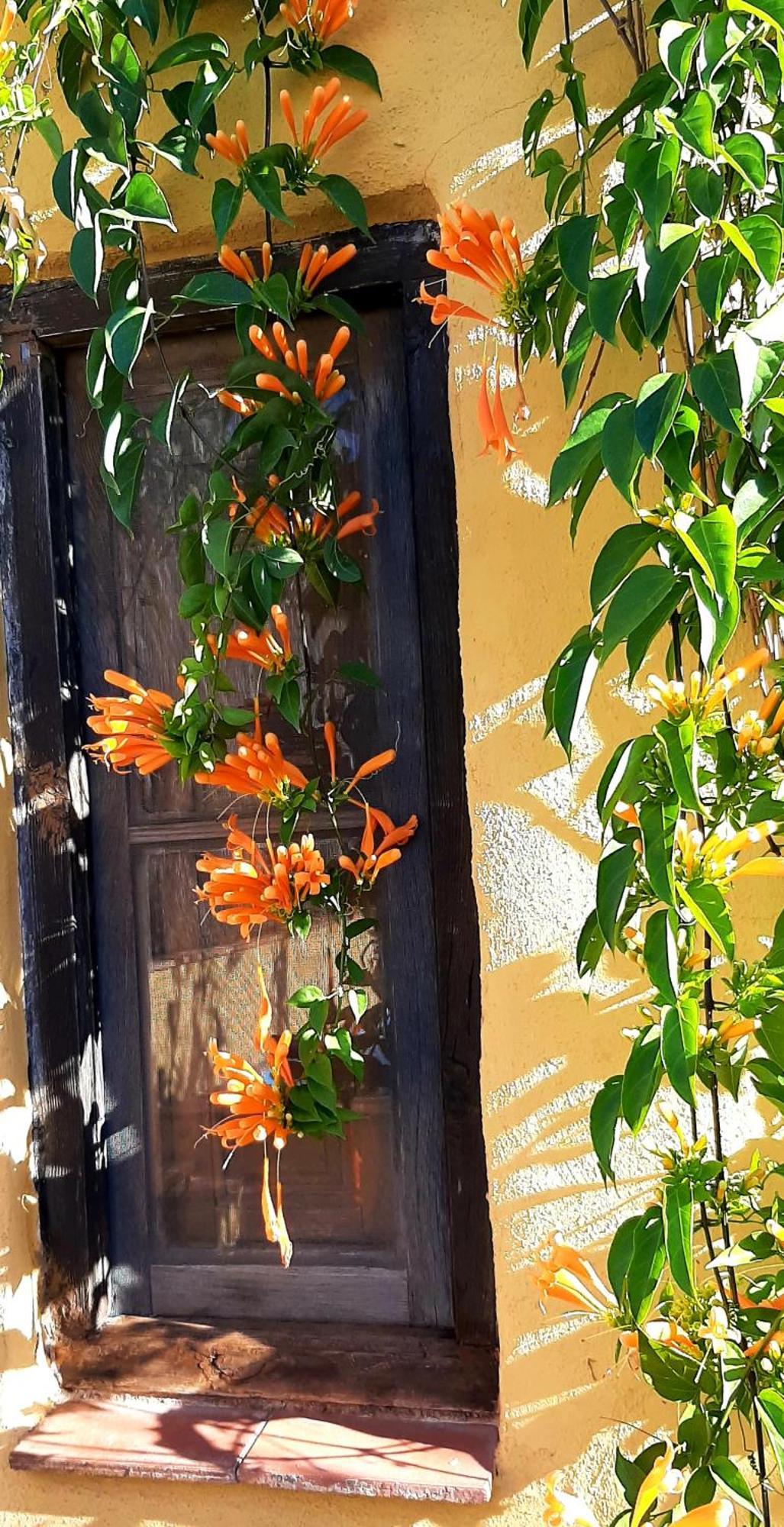 Adobe Getaway With 'Private Plunge Pool' Vila Viñuela Exterior foto
